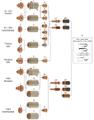 Расходные материалы для плазменной резки